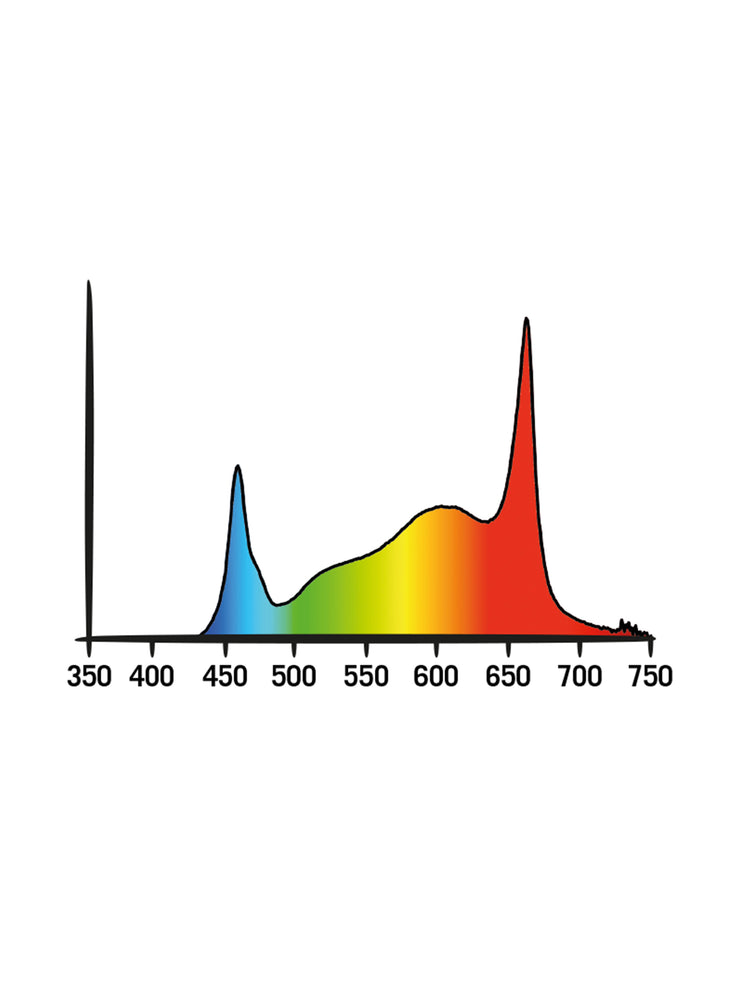 Cosmorrow Lighting Kit Full Spectrum 60w Blooming